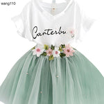 Summer Kids Girls Clothing Sets 2 pcs T-shirt Hole